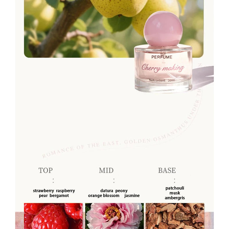 Women's Sandalwood Jasmine Perfume 30ml EDP