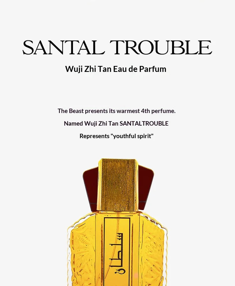 Brand Arabian Woody Perfumes Men Perfume Spray Flirting Pheromone Long Lasting Gentleman Irresistible Valentine's Day Gift