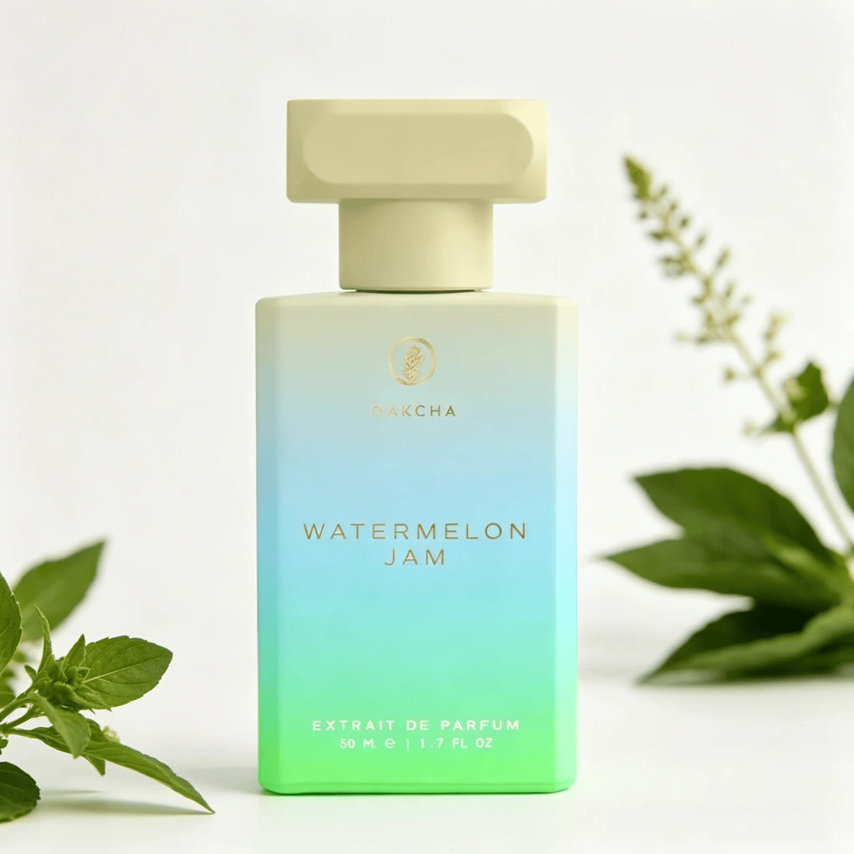 Oakcha Watermelon Jam Extrait de Parfum 50ML Long Lasting Juicy Fresh Watermelon Fruity Sweet Fragrance Unisex Perfume Gradient White Blue Green Square Bottle Cool Summer Scent Holiday Gift for Him and Her - AliExpress 66