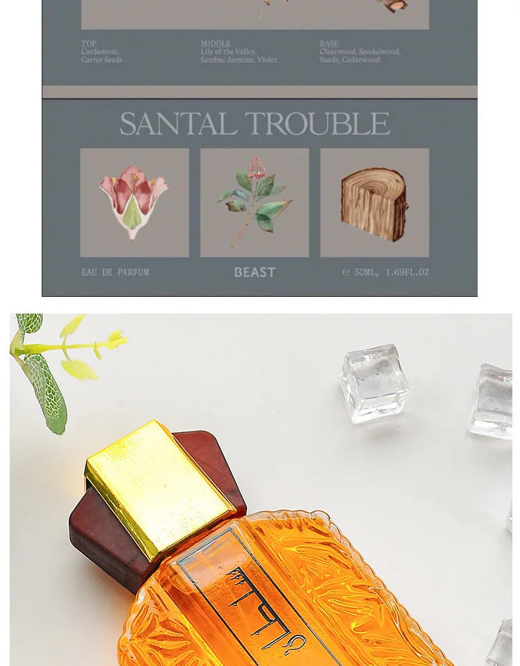 Brand Arabian Woody Perfumes Men Perfume Spray Flirting Pheromone Long Lasting Gentleman Irresistible Valentine's Day Gift