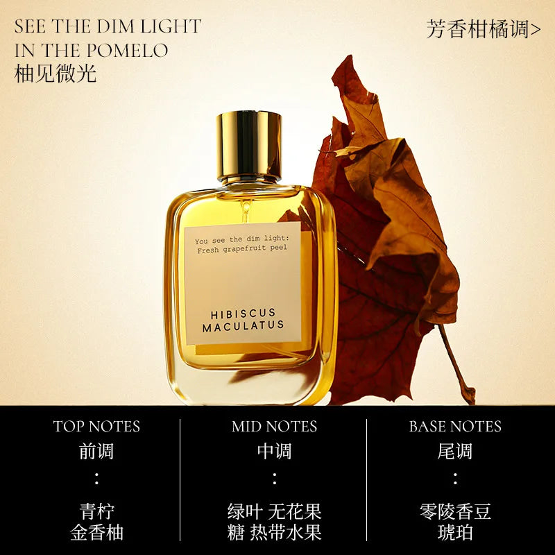 50ML A Glimmer of Light Perfume Eau De Toilette Clean Refreshing Long Lasting Citrus Fruity Amber Fragrance For Women Daily Use